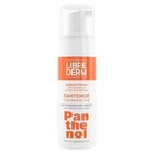 Нежная пенка для умывания LIBREDERM Panthenol, 160 мл 9546017 - фото 13906119