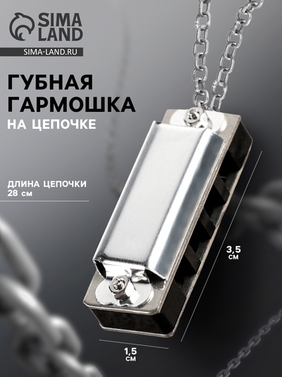 Губная гармошка Music Life 4 отверстия, 8 тонов, 3.5×1.5×1 см, цепь 28 см, серебристая