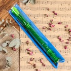 Блокфлейта Music Life, 8 отверстий, немецкая система, зеленая - Фото 6