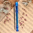 Блокфлейта Music Life, 8 отверстий, немецкая система, синяя - Фото 2