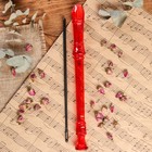 Блокфлейта Music Life, 8 отверстий, немецкая система, красная - Фото 2