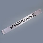 Набор на выпускной «Выпускник», лента серебряная с булавкой, галстук-бабочка - Фото 7