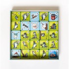 Настольная игра «Еноты против туристов» - фото 24566998