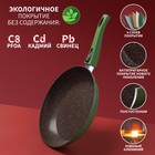 Сковорода Magistro Avocado, d=28 см, кованый алюминий, съёмная ручка soft-touch, антипригарное покрытие, индукция, зелёная - Фото 2