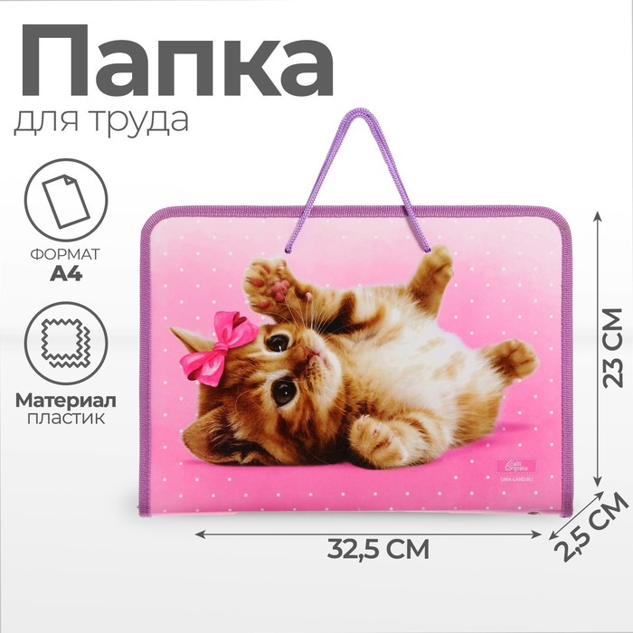 Папка для труда, А4, пластиковая, 32.5×23×2.5 см «Самая милая» - Фото 1