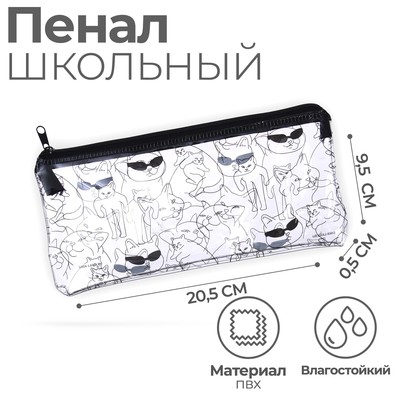 Пенал школьный, плоский, ПВХ, 9.5×20.5 см «Крутышки»