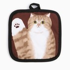 Прихватка Доляна Котики "Муся"  17*17 см 100% п/э 9437948
