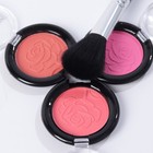 Набор профессиональной косметики Miss Young №1 - Фото 7