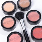 Набор профессиональной косметики Miss Young №11 - Фото 13