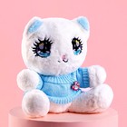 Мягкая игрушка «Сонэ и Соён» котик в свитере - Фото 4