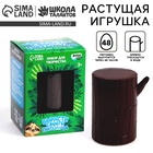 Растущие игрушки «Вырасти своего питомца: Ленивец» - Фото 1