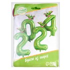 Набор фольгированных шаров 40" "2024 - год дракона", салатовый (комплект 3 шт) - фото 25574389