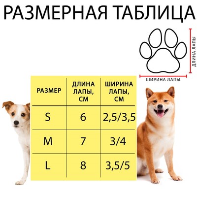 Носки нескользящие «Кеды», размер L (3.5/5×9 см), набор 4 шт.