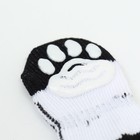 Носки нескользящие «Кеды», размер M (3/4×7 см), набор 4 шт. - Фото 2