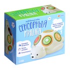 Развивающий набор «Сенсорный мишка» - фото 31172569 Развивающий набор «Сенсорный мишка» - фото 31172569