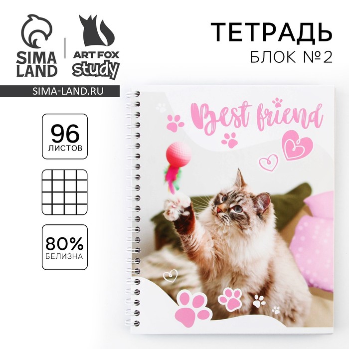 Тетрадь в клетку, 96 л., А5, на спирали, блок №2 «Котик» - Фото 1