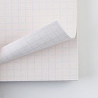 Тетрадь в клетку, 96 л., А5, на спирали, блок №2 «Котик» - Фото 3