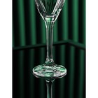 Набор бокалов для шампанского «Магнолия», 6 шт, 210 мл - фото 4377549