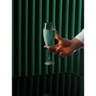 Набор бокалов для шампанского «Магнолия», 6 шт, 210 мл - Фото 2