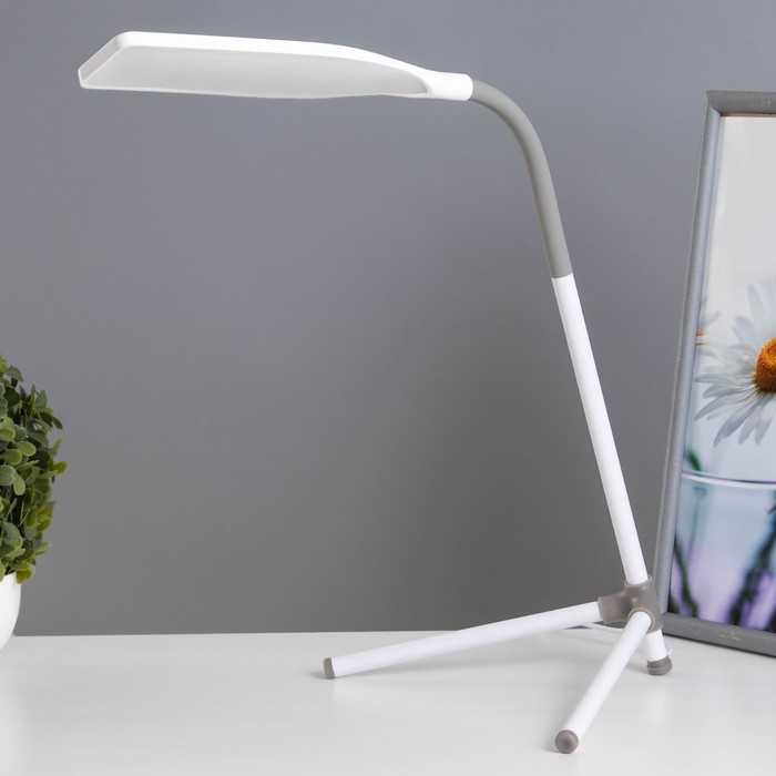 Настольная лампа "Эрудит" LED 5Вт белый 20х23х61 см RISALUX - Фото 1
