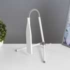 Настольная лампа "Эрудит" LED 5Вт белый 20х23х61 см RISALUX - фото 22162036