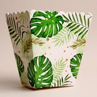 Стакан для попкорна и снеков «Тропики» - фото 22162286