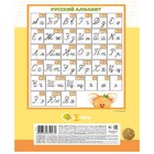 Тетрадь 12 листов, в косую линейку "ЛЕСЯТА", обложка мелованный картон, скругленные углы, блок офсет 65г/м2, 5В, МИКС (комплект 10 шт) - фото 22162500