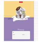 Тетрадь 12 листов, в крупную клетку "Зоозаврики", обложка мелованный картон, скругленные углы, блок офсет 65г/м2, 5В, МИКС 9591984