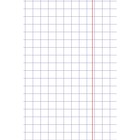 Тетрадь 12 листов, в крупную клетку "Зоозаврики", обложка мелованный картон, скругленные углы, блок офсет 65г/м2, 5В, МИКС 9591984