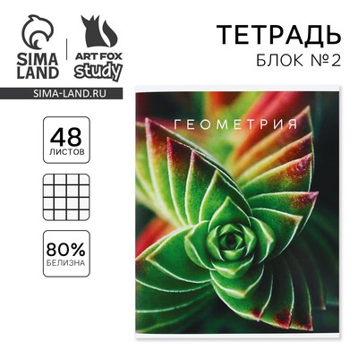 Тетрадь в клетку, предметная, 48 л.,на скрепке, А5 «ПРИРОДА. Геометрия»