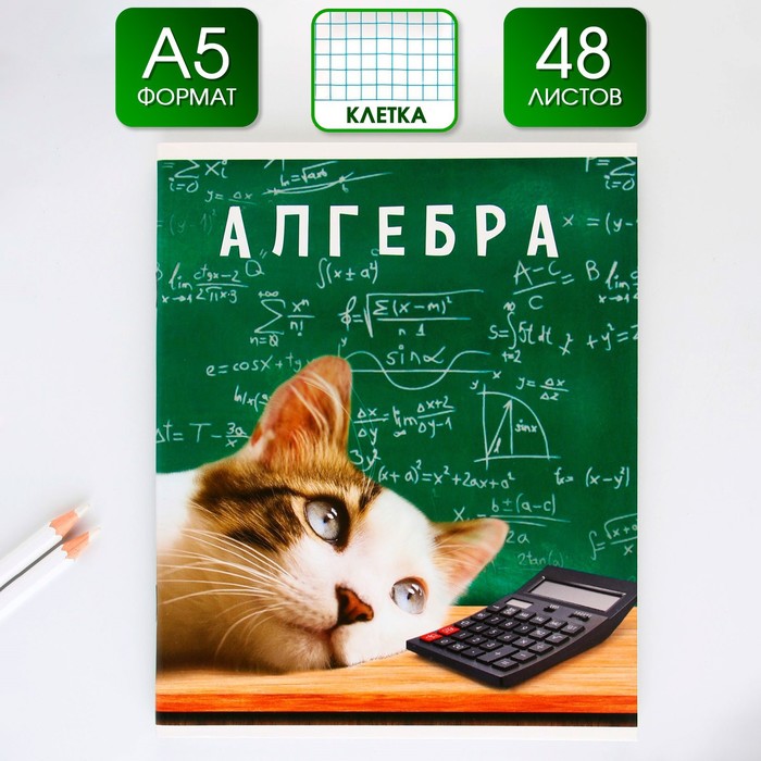 Тетрадь предметная 48 листов, А5, МИЛЫЕ ПИТОМЦЫ, со справочными материалами «1 сентября: Алгебра», обложка мелованный картон 230 гр., внутренний блок в клетку 80 гр., белизна 96%,блок №1.