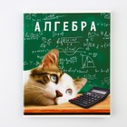 Тетрадь предметная 48 листов, А5, МИЛЫЕ ПИТОМЦЫ, со справочными материалами «Алгебра», обложка мелованный картон 230 г внутренний блок в клет... 9463183 - фото 130172