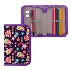 Пенал школьный «Совы», 13×19.5 см, на молнии, 1 секция, с наполнением, ткань - Фото 1