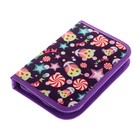 Пенал школьный «Совы», 13×19.5 см, на молнии, 1 секция, с наполнением, ткань - Фото 2