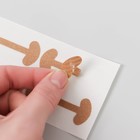 Набор наклеек для коррекции вросших ногтей, 8 шт, 5,2 × 2 см, цвет бежевый - Фото 7