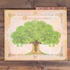 Родословная книга с рамкой под фото «Семейная», 21.5×23.7 см - Фото 13