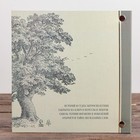 Родословная книга с рамкой под фото «Семейная», 21.5×23.7 см - Фото 21