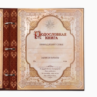 Родословная книга с рамкой под фото «Семейная», 21.5×23.7 см