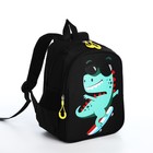 Рюкзак детский с пеналом, отдел на молнии, цвет чёрный - фото 24727147