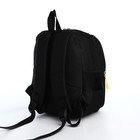 Рюкзак детский с пеналом, отдел на молнии, цвет чёрный - фото 24727148