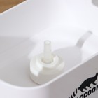 Дозатор для моющего средства с подставкой для губки Raccoon, 550 мл, губка в комплекте, цвет белый - Фото 7