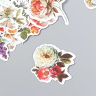 Набор наклеек «Винтажный цветочный микс» 50 шт 3-8,5 см - Фото 2