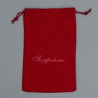 Мешочек подарочный замшевый «Поздравляю», 16 х 24 см +/- 1.5 см 9276037