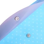 Папка-конверт на кнопке, А4, 180 мкм, "Аниме", вертикальная, МИКС (комплект 12 шт) - фото 24567002 Папка-конверт на кнопке, А4, 180 мкм, "Аниме", вертикальная, МИКС (комплект 12 шт) - фото 24567002