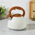 Чайник со свистком из нержавеющей стали Magistro Heat, 3 л, ТРС, индукция, ручка soft-touch, цвет белый - Фото 2