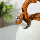 Чайник со свистком из нержавеющей стали Magistro Heat, 3 л, ТРС, индукция, ручка soft-touch, цвет белый - Фото 11