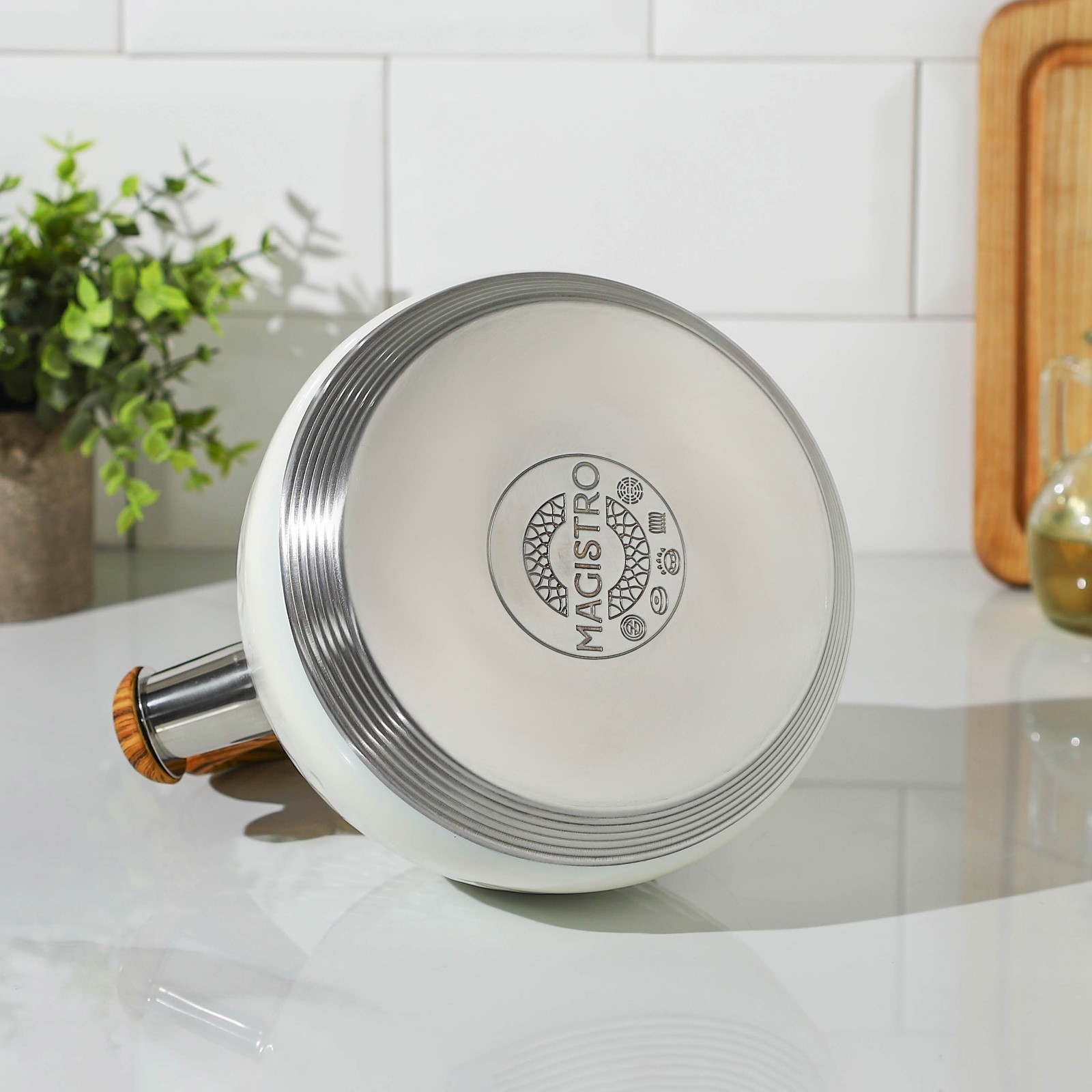 Чайник со свистком из нержавеющей стали Magistro Heat, 3 л, ТРС ...