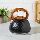 Чайник Magistro Heat, 3 л, ТРС, ручка soft-touch, со свистком, индукция, нержавеющая сталь, чёрный - Фото 2