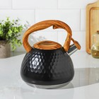 Чайник Magistro Heat, 3 л, ТРС, ручка soft-touch, со свистком, индукция, нержавеющая сталь, чёрный - Фото 3