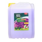 Гель для стирки Master FRESH COLOR, 5 л 9567703 - фото 10429726